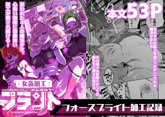 女畜加工プラント フォースプライト加工記録 RJ01613268