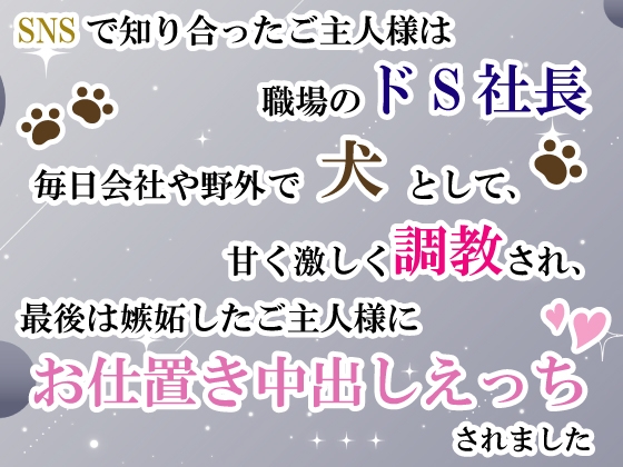 SNSで知り合ったご主人様は職場のドS社長。毎日会社や野外で犬として甘く激しく調教され、最後は嫉妬したご主人様にお仕置き中出しえっちされました