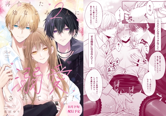 再会した幼なじみ2人に溺愛されてます！