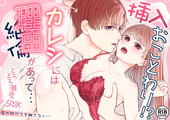 挿入おことわり!?カレシには理由があって…〜とろとろ溺愛SEX〜夜が明けても離さない____