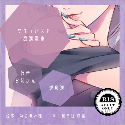【人外×逆痴漢】サキュバスと痴漢電車
