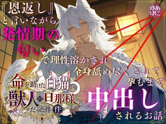 命を助けた白猫が獣人の旦那様だった件~『恩返し』と言いながら発情期の匂いで理性溶かされ全身舐め尽くされて孕むまで中出しされるお話~