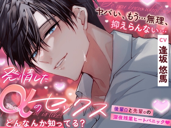 発情アルファとのセックス、どんなんか知ってる?『ヤバい、もう…無理、抑えらんない…』後輩Ωと先輩αの深夜残業ヒートパニック♡