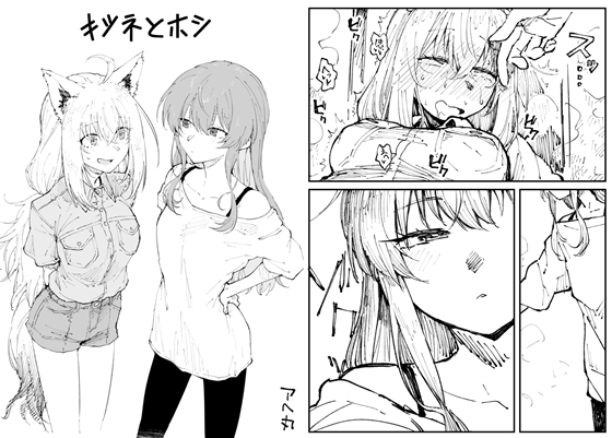 キツネとホシ