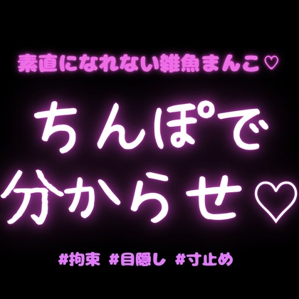 【寸止め/連続脳イキ】拘束目隠しえっち♡素直になれない雑魚雌にちんぽで分からせ♡「雑魚って言われた時が1番まんこの中キュンキュンしてるよなぁ♡」