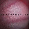 Psybernation [中村音楽工業]