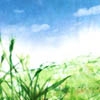 風ヲ知ル草 [Hakone-chloa]