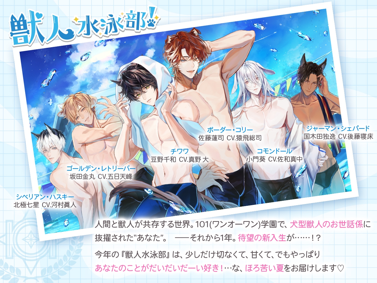 獣人水泳部！コリーな佐藤蓮司クン CV.猿飛総司【連動購入特典音声あり】