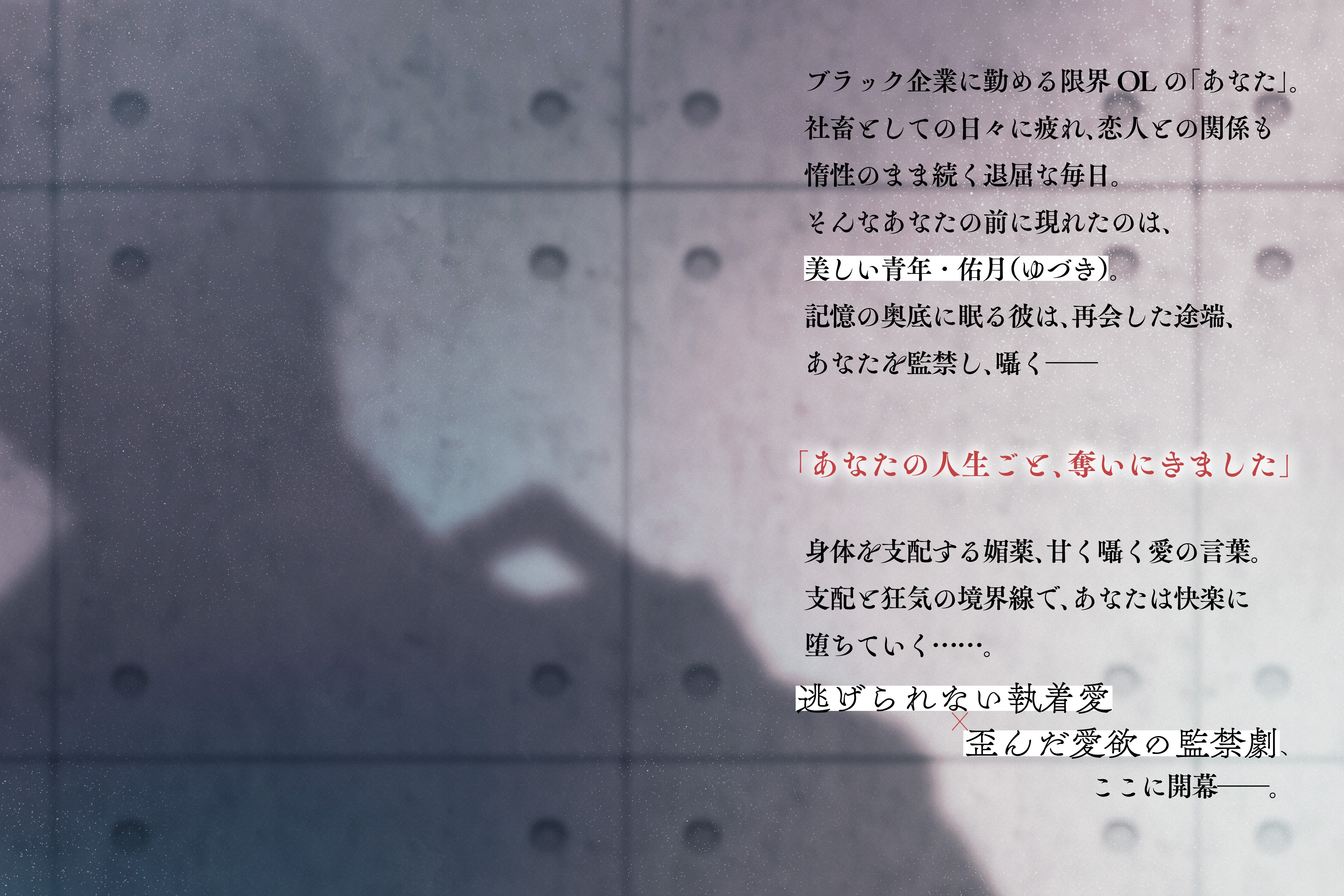 『月の檻に囚われて～執着と愛欲の檻に捕らわれる～』