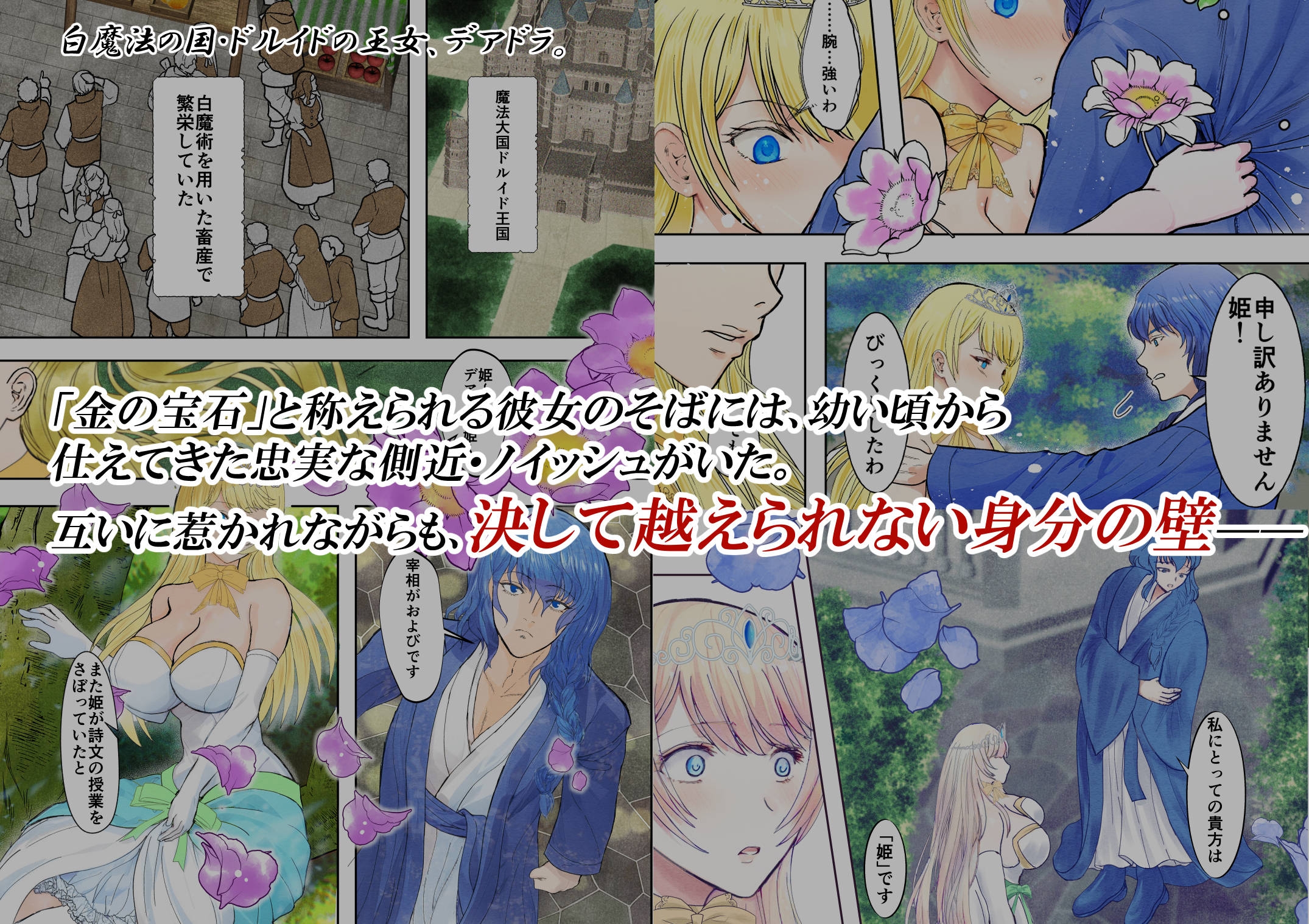 敗戦国ノ王女