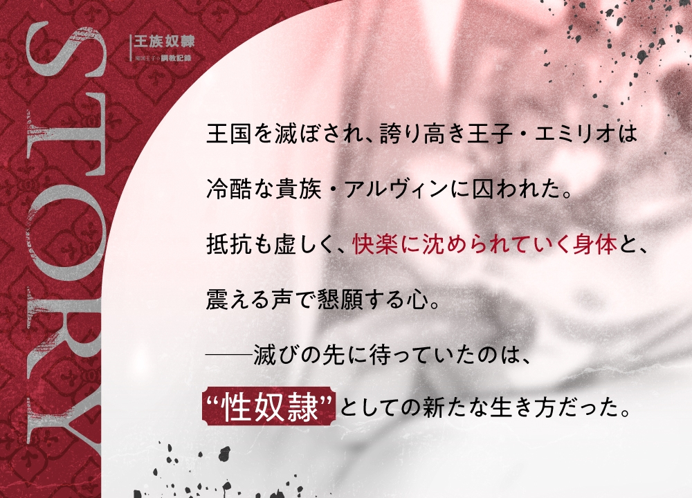 王族奴○～廃国王子の調教記録～