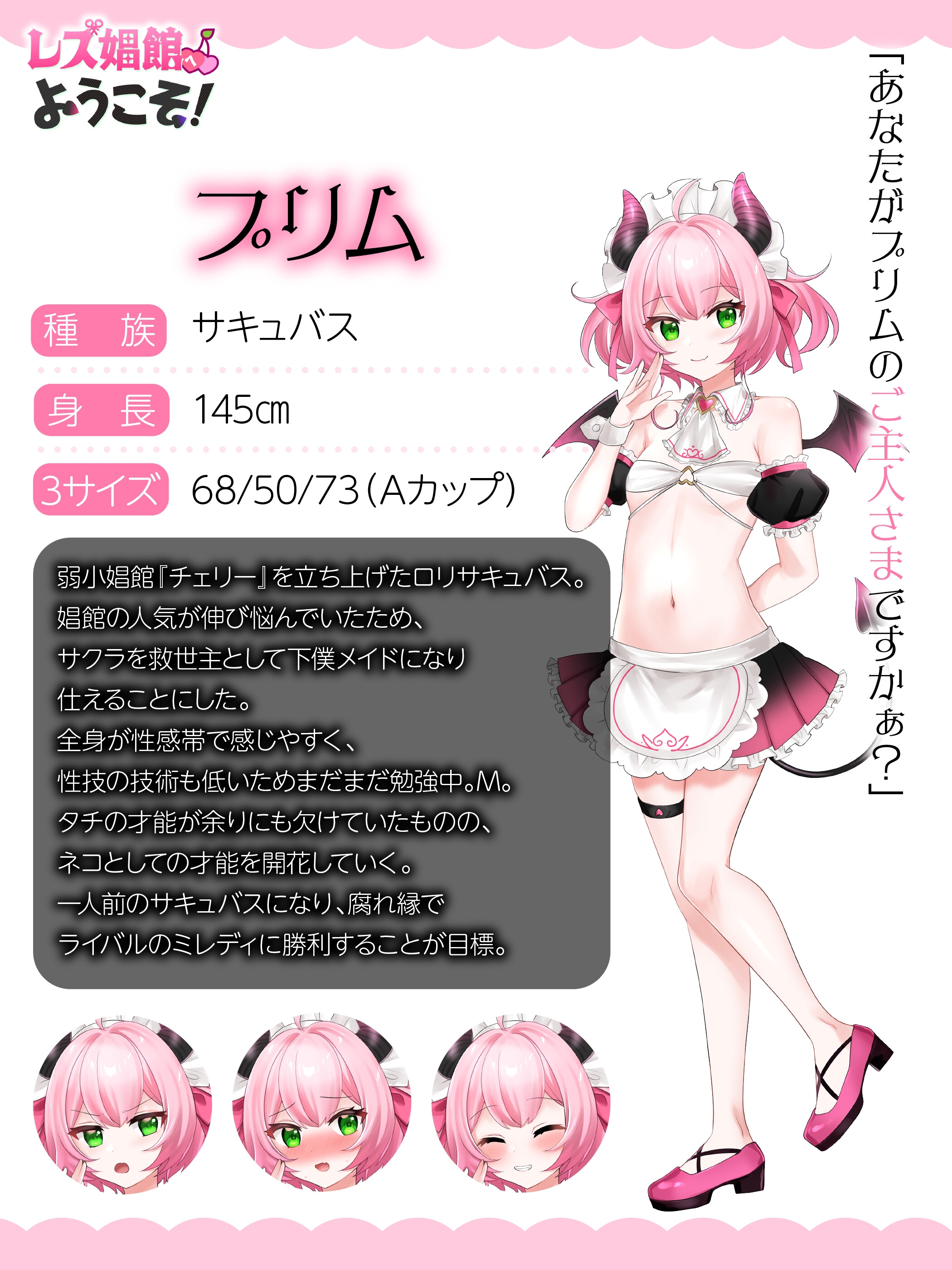 レズ娼館へようこそ！ [青華団]