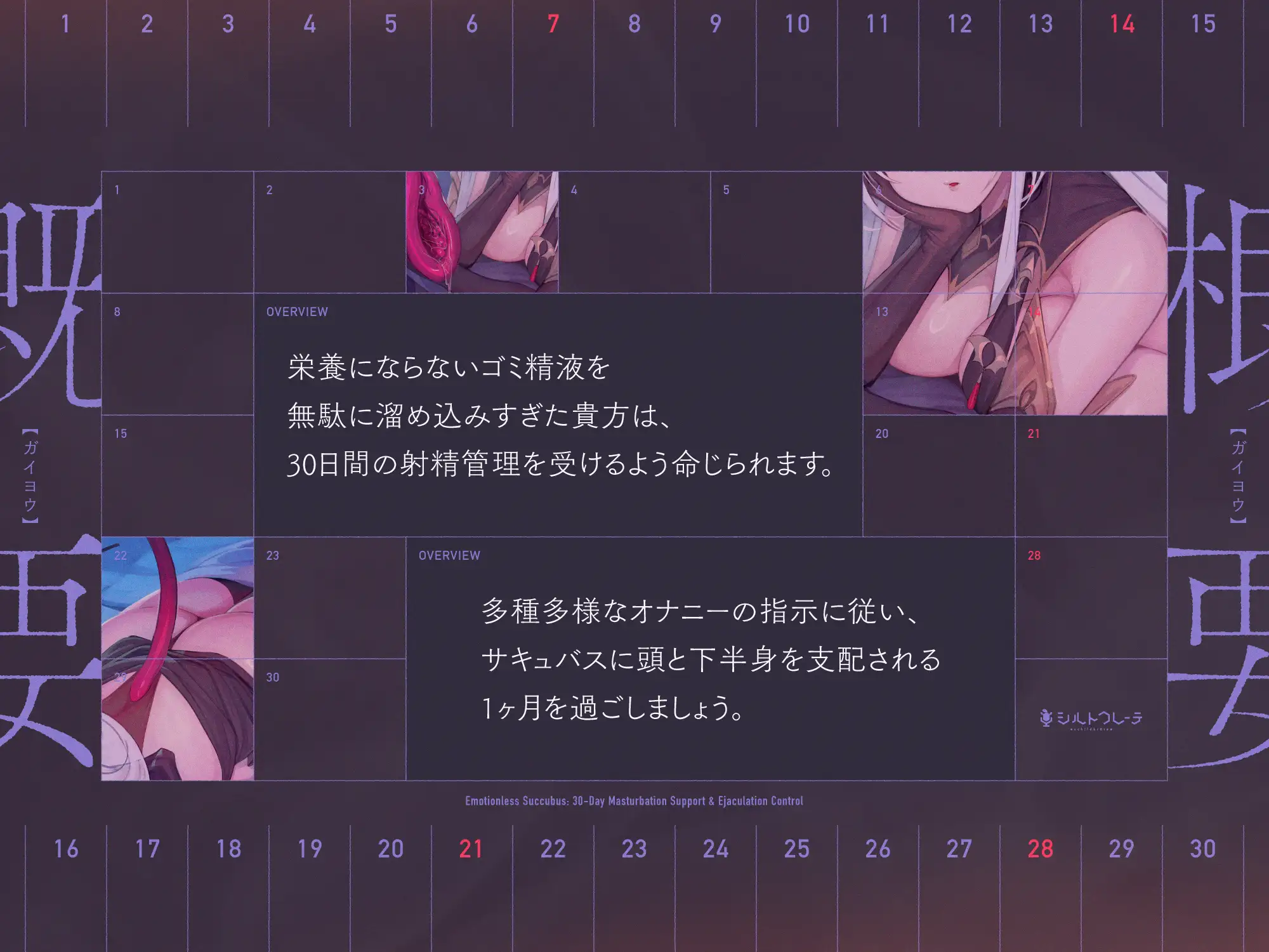 無感情サキュバスの30日オナサポ射精管理_2