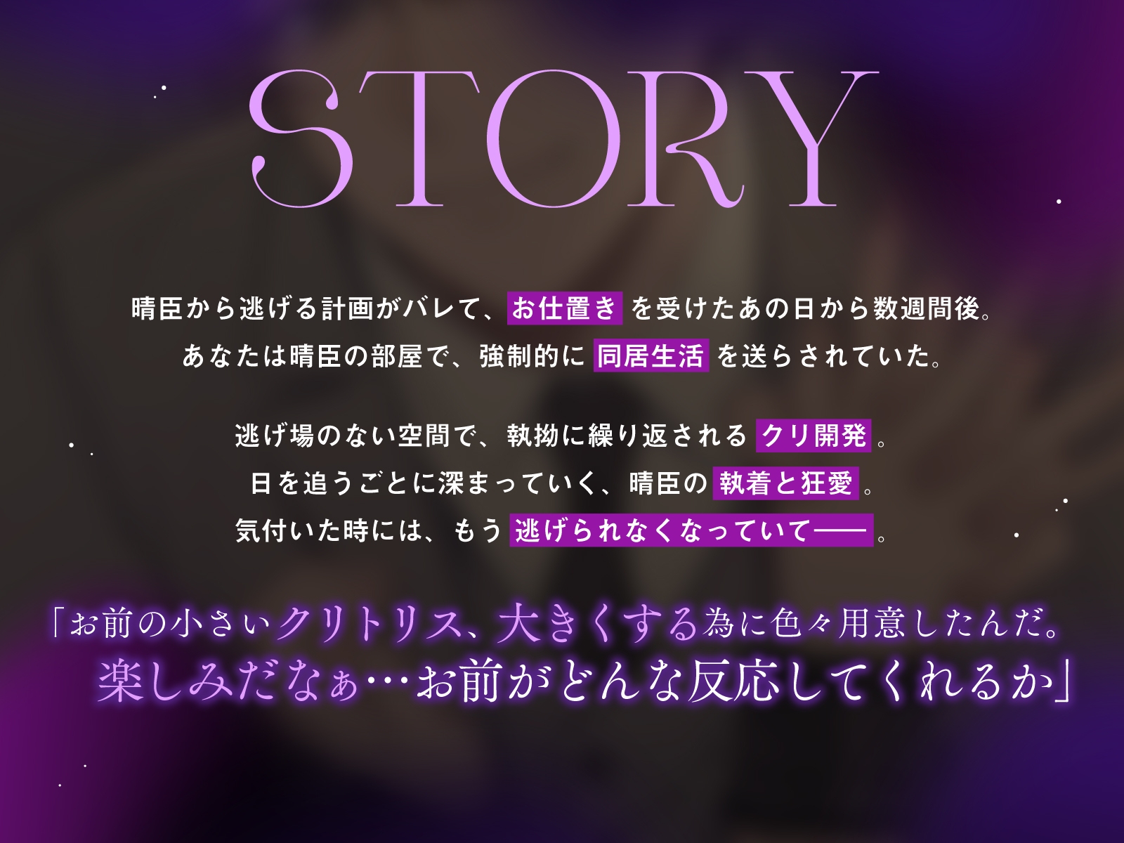 【強○同居生活×クリ開発】続 狂愛お兄ちゃんに執着されて逃げられない話【全トラッククリ責め有り】 [匿名希望の背徳]
