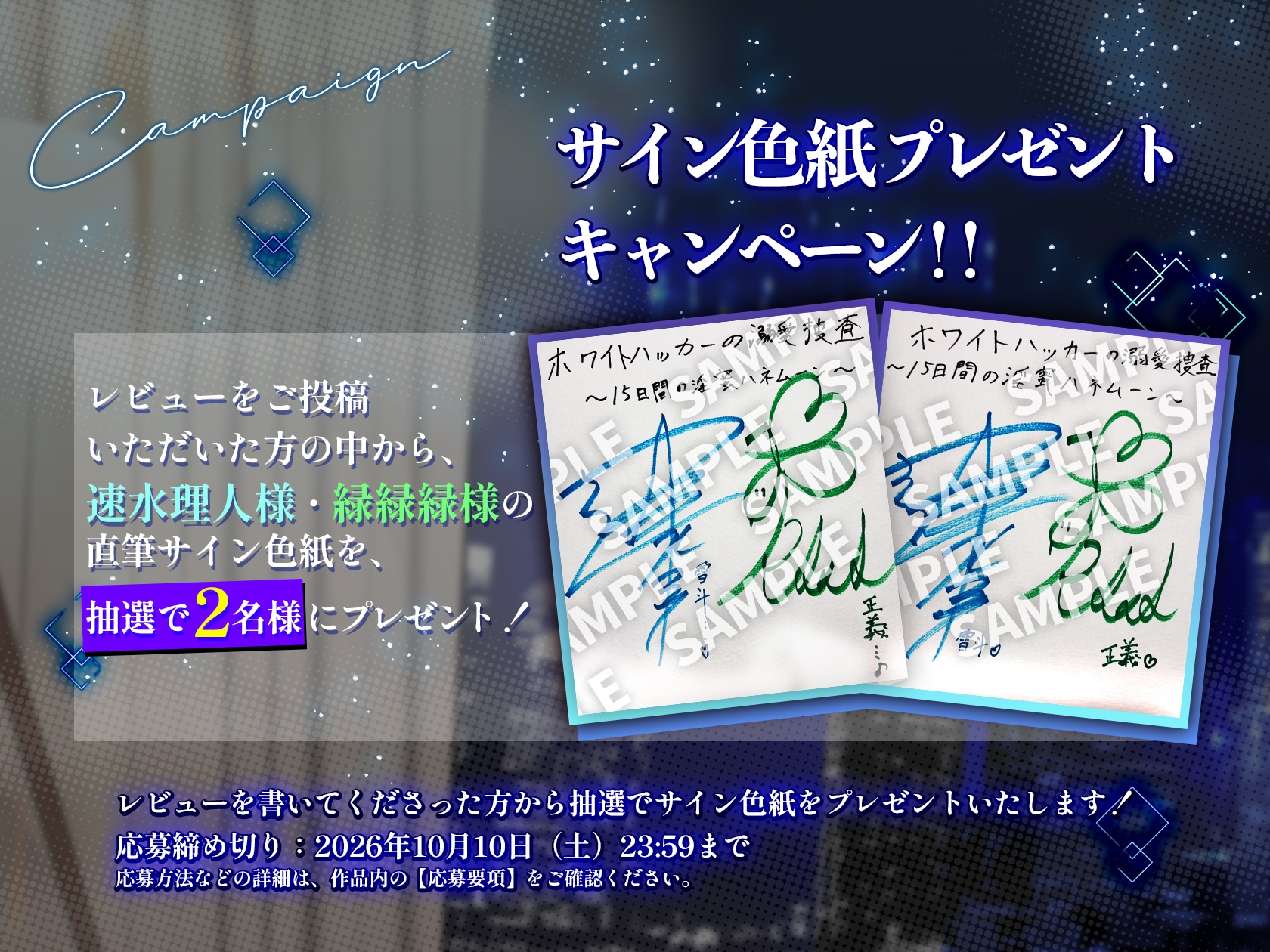 ホワイトハッカーの溺愛捜査〜15日間の淫蜜ハネムーン〜 [Star Garden]