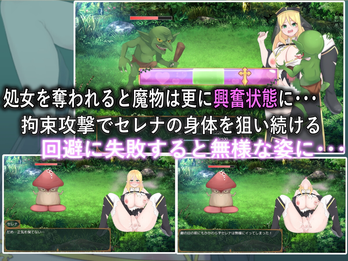 出典:堕ちた聖樹の乙女 セレナ[忠犬シコーギー]