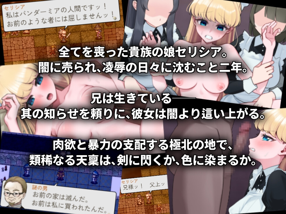 没落剣姫セリシア [アトリエデスポン]