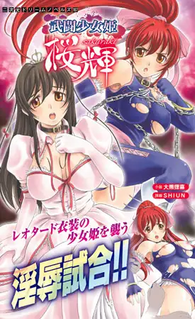 武闘少女姫 桜輝