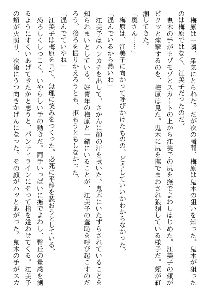 人妻と家庭教師（上）