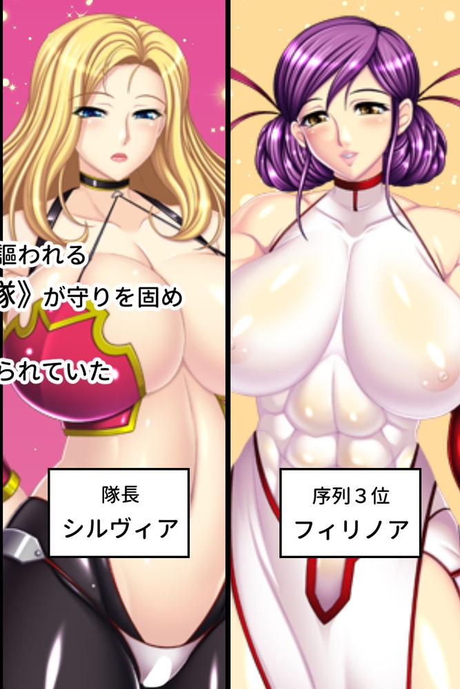 魔ヲ孕ム武妃 CGノベル版 前編 ～魔物との異種姦エッチで腹ボコ出産～