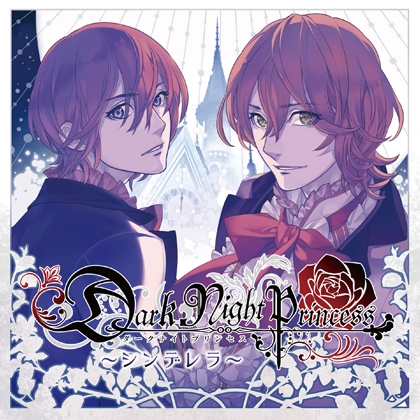 DarkNightPrincess~シンデレラ~