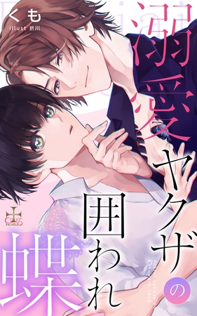 溺愛ヤクザの囲われ蝶 [笠倉出版社]