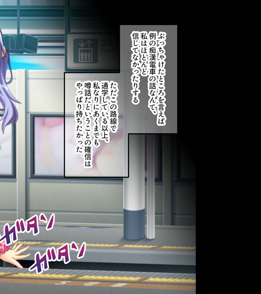 貞淑カノジョのインモラル交尾 ～無防備につけ込んで背徳開発～【CG集コレクション】