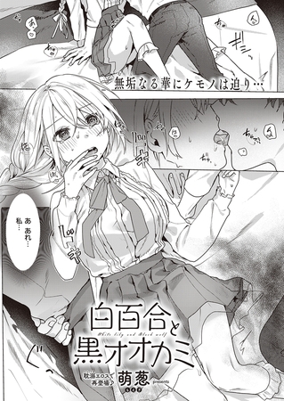 BJ01050002 白百合と黒オオカミのサムネイル
