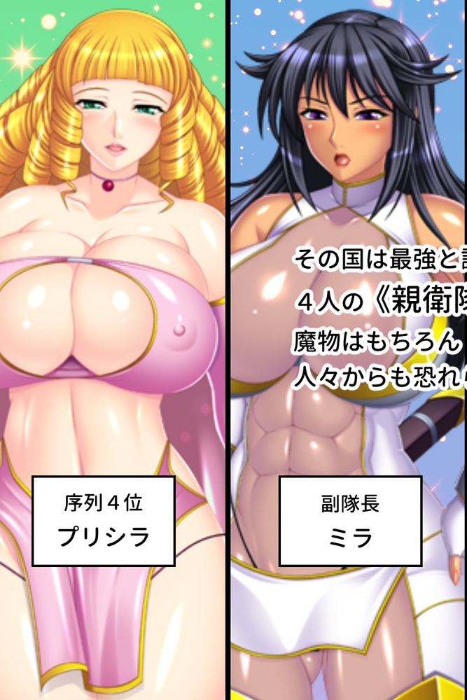 魔ヲ孕ム武妃 CGノベル版 ～魔物との異種姦エッチで腹ボコ出産～ 総集編