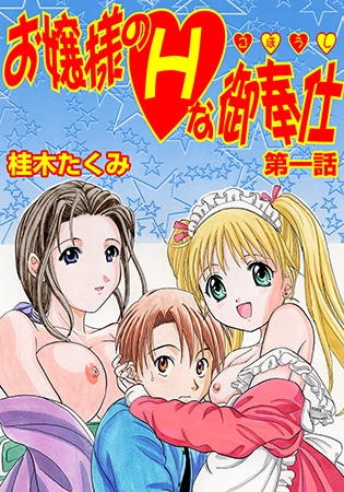 お嬢様のHな御奉仕 1~15巻パック お嬢様のHな御奉仕 1~15巻パック