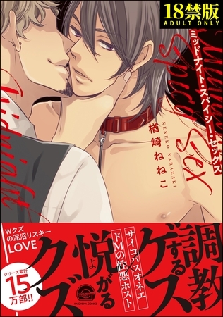 ミッドナイト・スパイシー・セックス【極】【電子限定かきおろし漫画付】 [海王社]