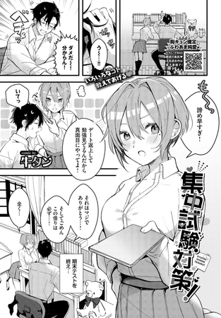 BJ01446696 集中試験対策！のサムネイル
