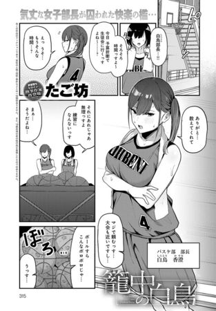 籠中の白鳥