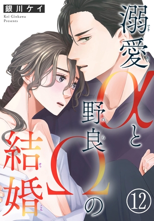 溺愛αと野良Ωの結婚12 溺愛αと野良Ωの結婚12