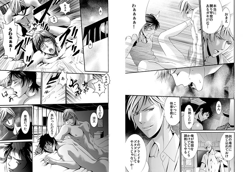 漢の流刑地～裂けちゃう! 極太お仕置き～ サンプル1
