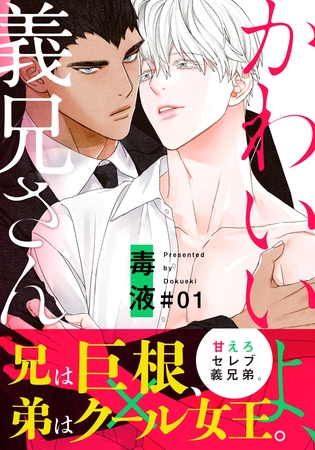 【期間限定　無料お試し版】かわいいよ、義兄さん(1)