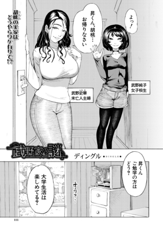武野家の謎 （ディングル）