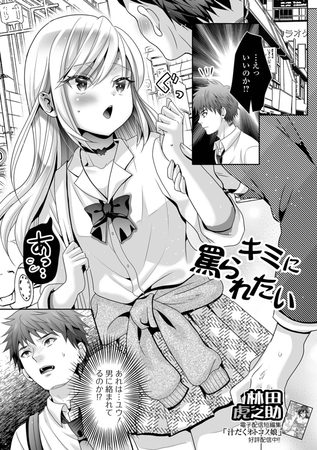 キミに罵られたい！