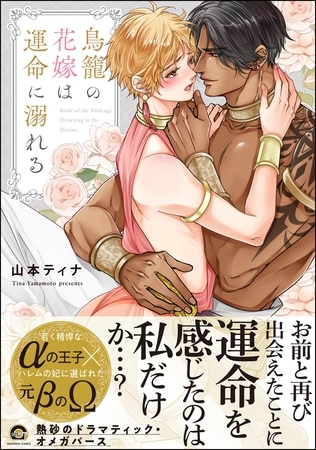 鳥籠の花嫁は運命に溺れる【電子限定かきおろし漫画付】