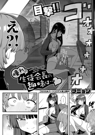 憧れの生徒会長の趣味は…