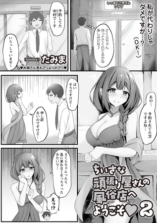 ちいさな頑張り屋さんの風俗店へようこそ2