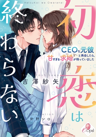 初恋は終わらない CEOな元彼と再会したら、甘すぎる求婚が待っていました 初恋は終わらない CEOな元彼と再会したら、甘すぎる求婚が待っていました