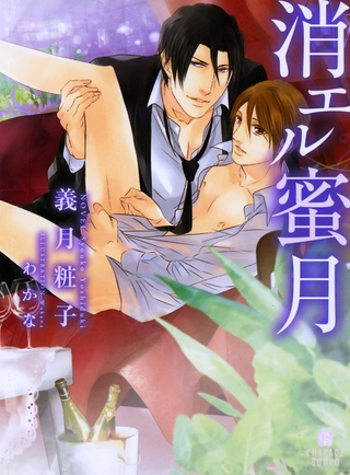 消エル蜜月【特別版】 [二見書房]