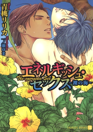 エネルギッシュ・セックス～裸の海～【特別版】 [二見書房]
