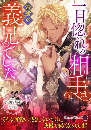 一目惚れの相手は禁断の義兄でした 一目惚れの相手は禁断の義兄でした