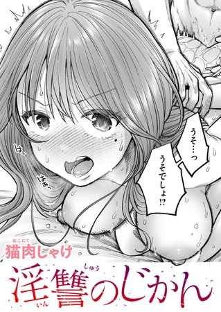 淫讐のじかん