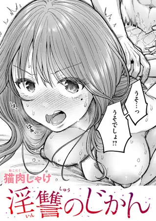 淫讐のじかん
