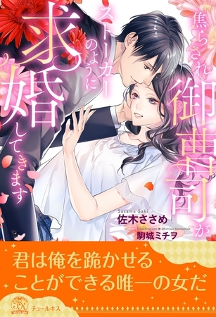 【期間限定 試し読み増量版】【全1-6セット】焦らされ御曹司がストーカーのように求婚してきます【イラスト付】 【期間限定 試し読み増量版】【全1-6セット】焦らされ御曹司がストーカーのように求婚してきます【イラスト付】