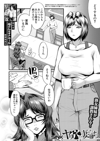 ヤリ穴の妻たち〈その4〉 (SINK) [ティーアイネット]