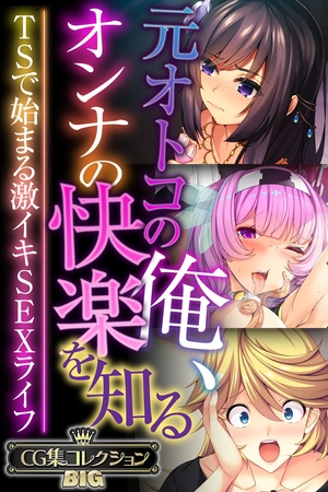 BJ02210854 元オトコの俺、オンナの快楽を知る ～TSで始まる激イキSEXライフ～【CG集コレクションBIG】のサムネイル